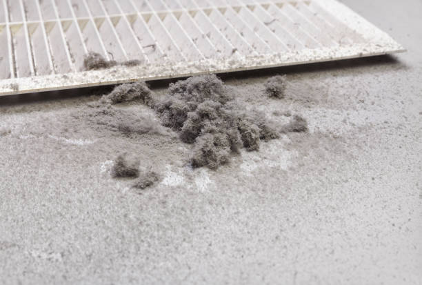 Best Home Air Vent Cleaning  in Trenton, FL