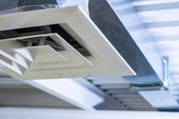 Best Air Duct Cleaning Company Near Me  in Trenton, FL