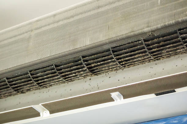 Best Affordable Air Duct Cleaning  in Trenton, FL