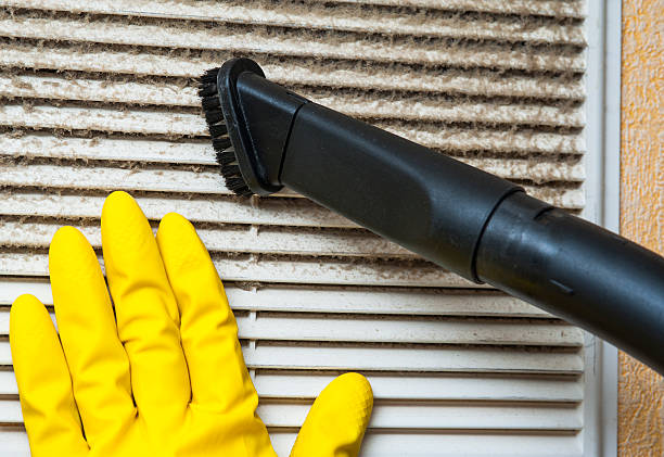 Best Air Vent Cleaning Services  in Trenton, FL
