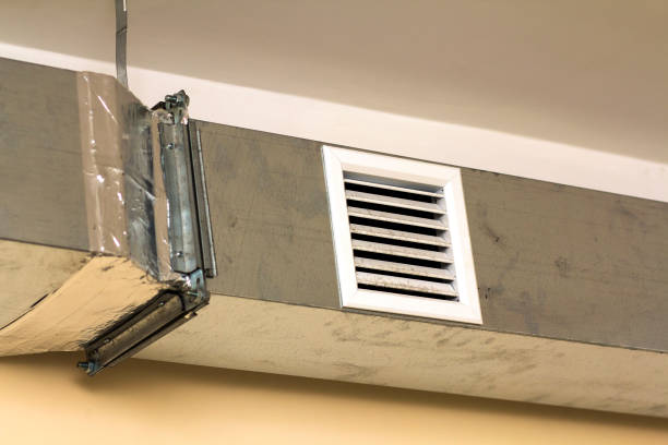 Best HVAC Duct Inspection Services  in Trenton, FL
