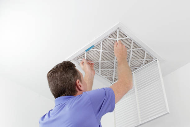 Best Dryer Vent Cleaning Services  in Trenton, FL